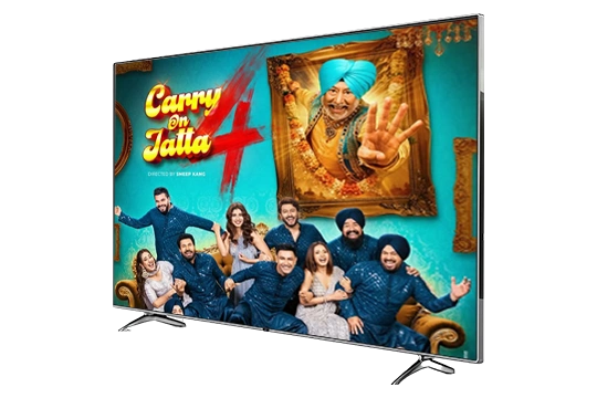 Punjabi Banner